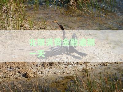 北银消费金融逾期一天，北银消费金融：逾期一天会产生怎样的后果？
