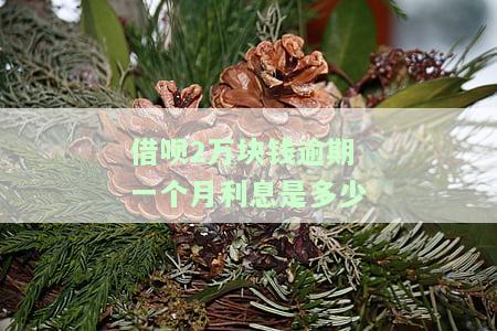 借呗逾期2万：每月逾期费用及所需还款金额计算方式
