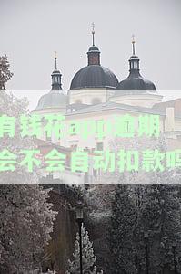 有钱花逾期有什么后果，警惕！有钱花逾期的严重后果你必须要知道