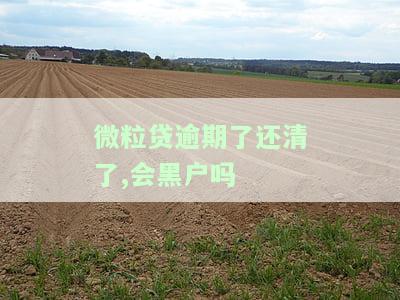 微粒贷逾期后还清了,还会对征信有影响吗，微粒贷逾期后还款，会对个人征信产生怎样的影响？