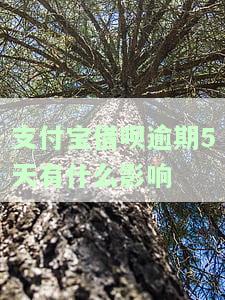 支付宝借呗逾期5天有什么影响没，支付宝借呗逾期5天会产生哪些影响？