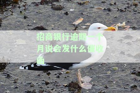 招商银行逾期一个月说会发什么催收函是真的吗，是否真的？招商银行逾期一个月将发送催收函