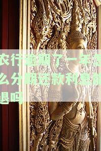 农行逾期了一年怎么分期还款利息能退吗