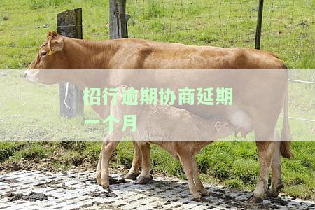 招行期还款一个月：影响、计算方式与扣款日期，申请及逾期后果解析