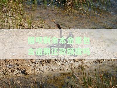 借呗剩余本金是否包含逾期还款额度？真的是吗？安全吗？