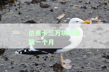 信用卡三万块钱逾期一个月会怎么样，信用卡逾期一个月，欠款三万元会产生什么后果？