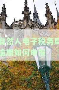 自然人电子税务局逾期如何申报纳税？如何补报漏报？系统逾期能否继续申报？