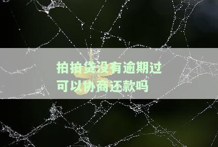 拍拍贷有欠款没有逾期还能贷款买房吗，未逾期的拍拍贷欠款会影响你贷款购房吗？