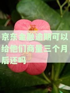 京东金融逾期可以给他们商量三个月后还吗-京东金融逾期了可以给他们协三个月后还吗?