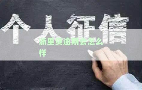 浙里贷不还会怎么样，浙里贷逾期的后果是什么？