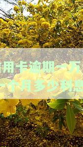信用卡10000逾期一个月利息多少？计算方法及影响因素解析