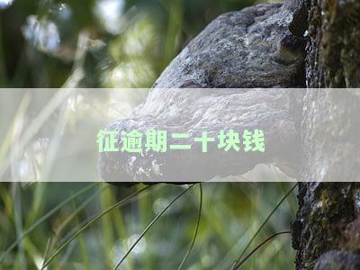 逾期20万怎么办？如何处理信用卡、银行卡逾期，可以分期还款吗？银行会有何解决方案？