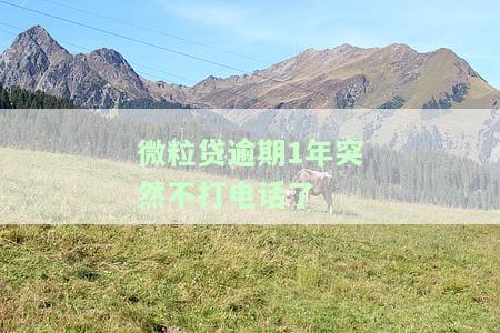 微粒贷逾期1年突然不打电话了，是否需要担心？