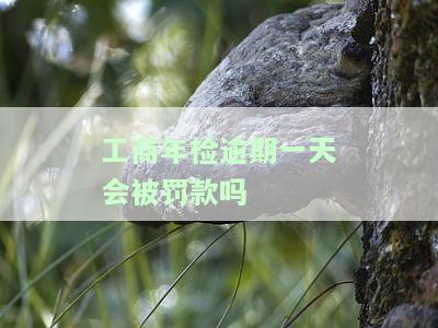 工商年检超过一天怎么办？过了时间会罚款，能否继续登录及如何补报?