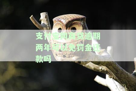 支付宝网商贷逾期一年还款后能否继续使用？安全吗？逾期一年多、两万块是否会遭起诉？
