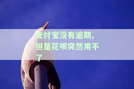 支付宝没有逾期,但是花呗突然用不了
