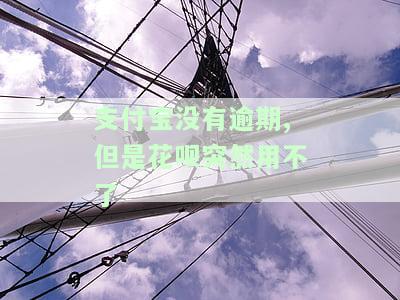 支付宝没有逾期,但是花呗突然用不了
