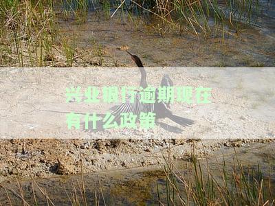 兴业银行逾期怎么办？无法偿还，处理方式及影响解析
