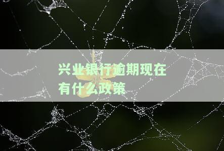 兴业银行逾期几天会有利息，兴业银行：逾期还款几天会产生利息？