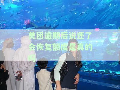 美团逾期后说还了会恢复额度是真的吗吗，美团逾期还款后额度能否恢复？真相大揭秘！