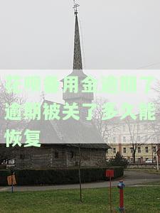 花呗备用金逾期后，多久能再次使用？已还款如何恢复？逾期后果及解决方法