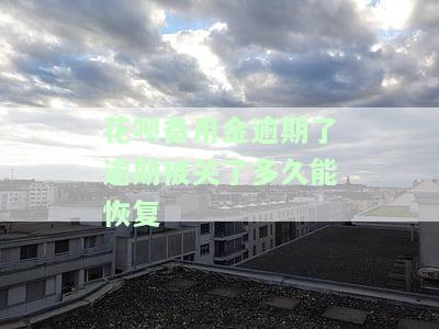 花呗备用金逾期后多久能恢复？影响信用及使用时间解析