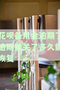 花呗备用金逾期了逾期被关了多久能恢复-花呗备用金逾期了逾期被关了多久能恢复征信