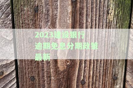 2023建设银行逾期免息分期政策最新消息：全解析与查询指南