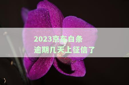 2020年逾期会影响个人征信吗？2021年逾期是否上征信？