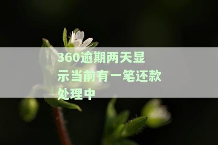 360还款显示有一笔还款处理中：超过15分还未完成