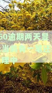 360逾期两天显示当前有一笔还款处理中