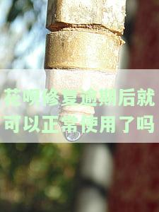 花呗逾期修复后征信有影响吗？修复后的效果及提升额度时间解析