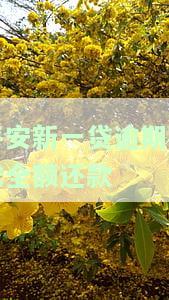 平安新一贷逾期了，警惕！平安新一贷逾期可能带来的后果