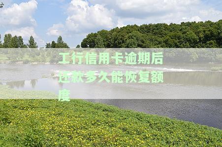 工行信用卡逾期后还款多久能恢复额度-工行信用卡逾期后还款多久能恢复额度啊