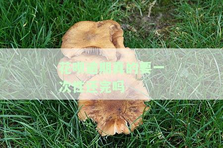 花呗逾期真的要一次性还完吗