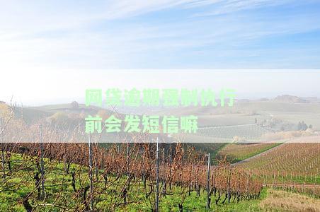 网贷逾期说强制执行：真实情况及应对策略