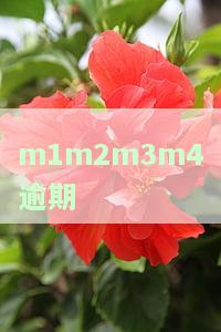 逾期M1、M2、M3、M4、M5分别代表什么？逾期M0、M1、M2又是什么意思？贷款逾期M1、M2、M3分别意味着什么？逾期M12又是什么情况？
