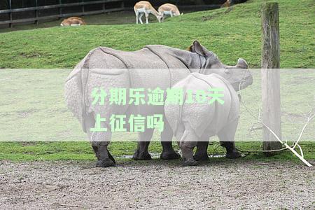 分期乐逾期十天有事吗，关于分期乐逾期十天的影响，你必须知道的事情！