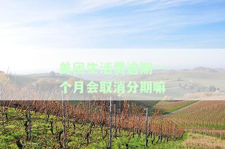 美团生活费逾期一个月还款后能否继续使用？会有哪些后果？是否会被起诉？请详细了解。