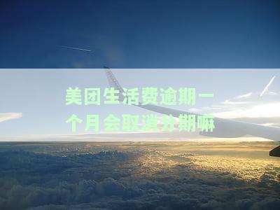 美团生活费逾期一个月会怎样？影响及解决办法全解析
