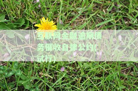 互联网金融逾期债务催收自律公约(试行)第十四条：内容及相关规定