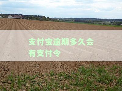 支付宝逾期多久恢复正常，支付宝逾期多久可以恢复正常？答案在这里！