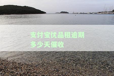 支付宝优品租逾期多少天催收会上门，支付宝优品租：逾期多久才会被催收并上门？