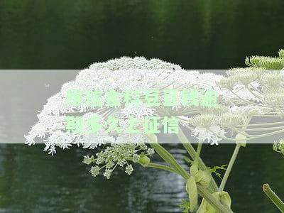 维信金科豆豆钱逾期多久上征信-维信金科豆豆钱逾期多久上征信啊