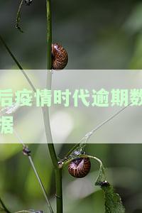 后疫情时代逾期数据-疫情后逾期率