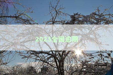2023全国逾期人数：最新统计显示XX万人逾期未还