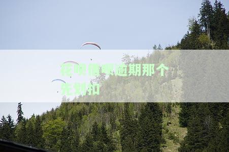 花呗借呗还款逾期，不可忽视的后果：花呗、借呗逾期还款的影响