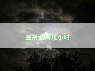 金条逾期几小时会上征信？影响及后果详解