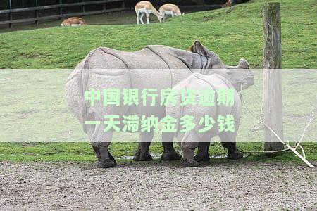 中国银行房贷逾期一天滞纳金多少钱啊，查询中国银行房贷逾期一天的滞纳金金额