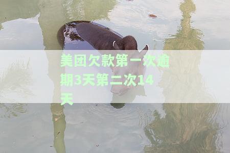 美团欠款第一次逾期3天、第二次14天的计算方法及利息分析